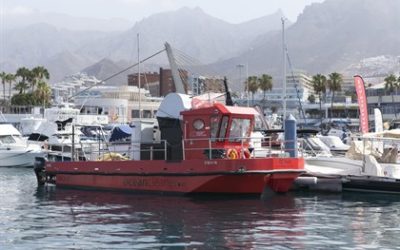 Detectan dos manchas de microalgas en la costa oeste de Tenerife