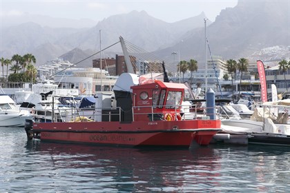 Detectan dos manchas de microalgas en la costa oeste de Tenerife